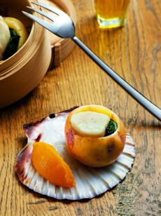 noix-de-st-jacques-vapeur-en-coque-de-blue-belle